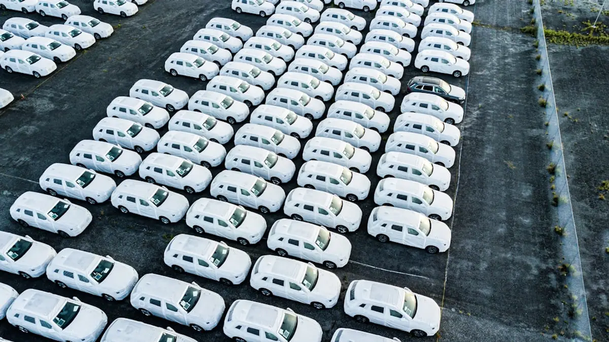 Image that's part of the gallery of images for the website